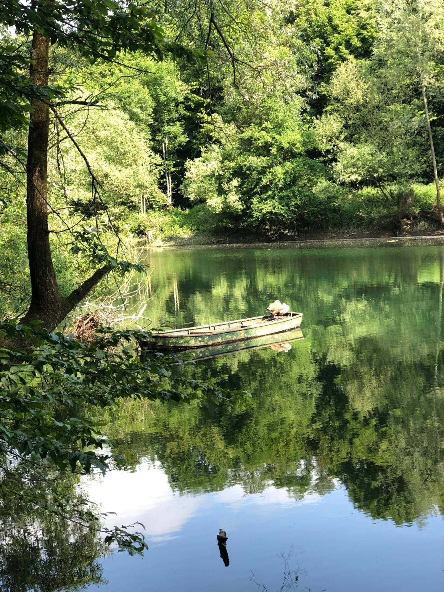 Homeflair Niederkassel Dış mekan fotoğraf