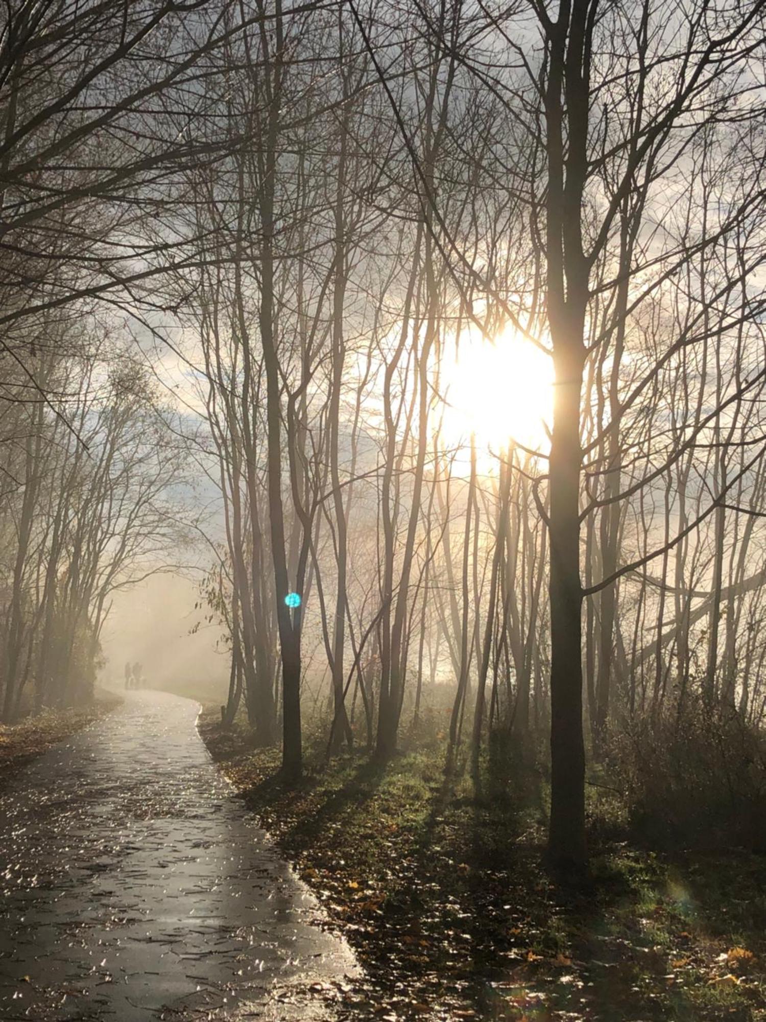 Homeflair Niederkassel Dış mekan fotoğraf